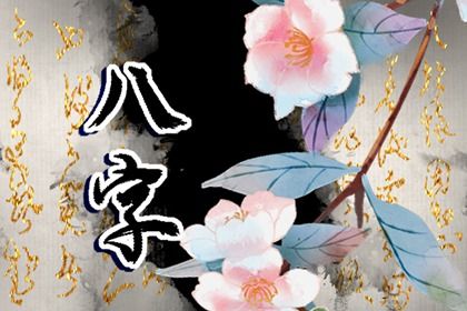 地支里的藏干