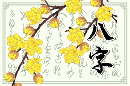 透干让藏气显现