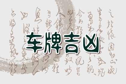 六爻结构能看什么