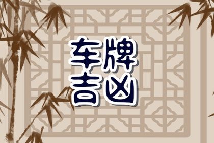 数字谐音的双面