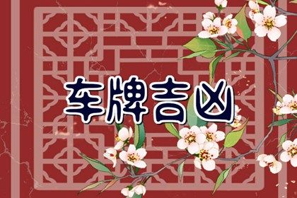 车牌吉凶的常见