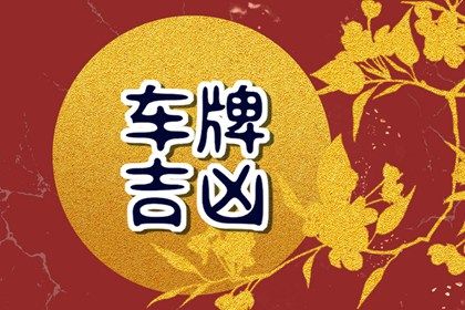 车牌字母的争议