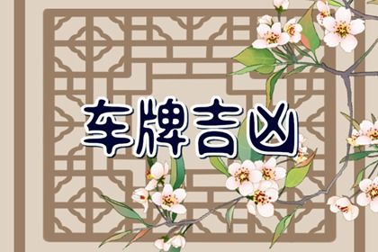 车牌数字总和法