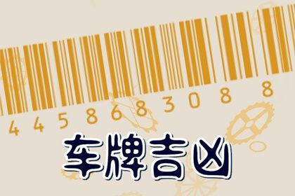 车牌区域编号