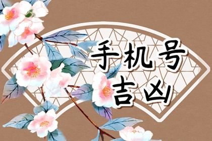 吉凶分数本质是概率