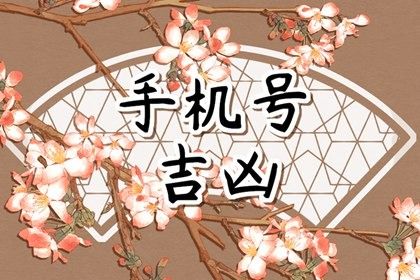 网页版与APP版差异