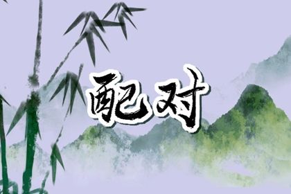 算命盘|天机紫微斗数排盘|基本命盘查询