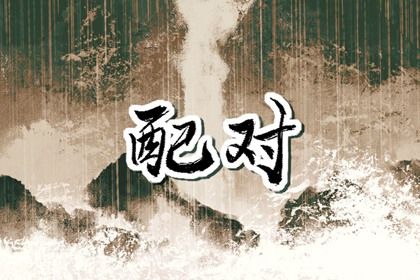 大属相差六岁合适吗
