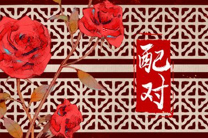 流年紫微排盘_紫薇斗术排盘_查看紫薇星斗命盘_紫薇斗术排盘免费_八字排命盘