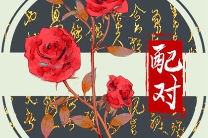 三十种纳音的速查