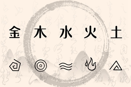 海外华人与纳音的联系