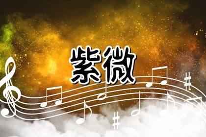 星宿栏说明什么
