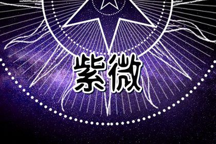 父母宫看什么