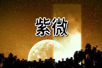 现代排盘工具怎么选